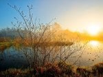 morning dawn prairie