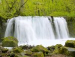 oirase waterfalls