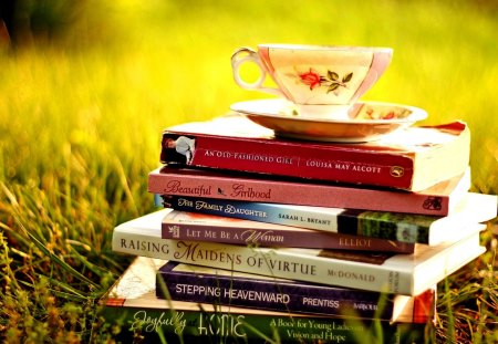 MIND BOOSTERS - saucer, book, cup, grass