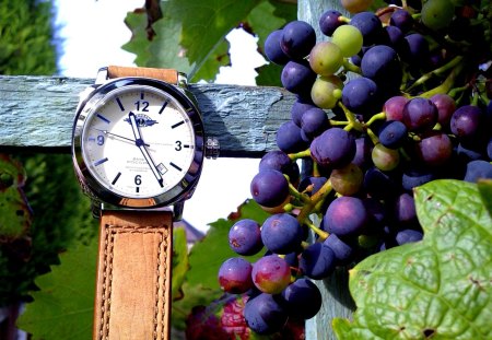 GRAPES & WATCH - mood, vines, time, wood, leather, clock, leaves