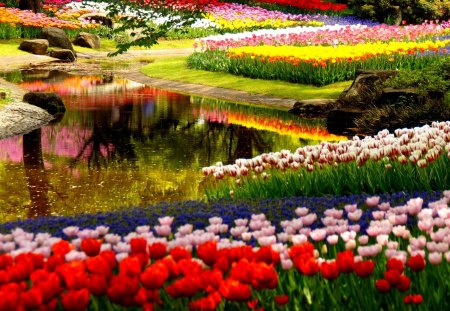 SPRING GARDEN - flowers, garden, pond, spring