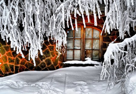 Frosty branches - house, branches, winter, beautiful, window, snow, frosty, lovely, home, tree, door, frozen, white, cold, frost, nice