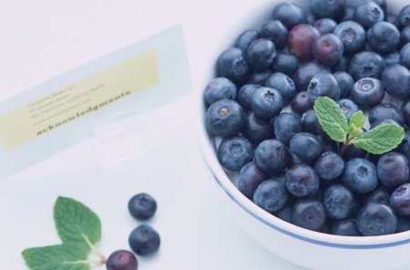 Blueberry - berry, photo, fruit, blue