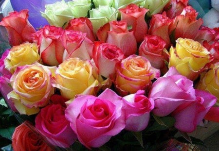 Colorful Roses - roses, yellow, red, green, beauty, lovely, colorful bouquet, pink