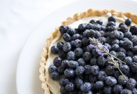 BlueBerry - berry, photo, fruit, blue