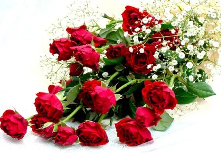 ROSE BOUQUET - nature, love, fresh, gift, roses, red, valentine, bouquet