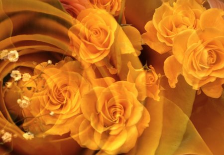 YELLOW ROSES - roses, exposure, yellow, photography