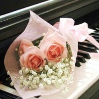 piano roses