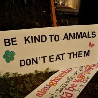 be kind to animals