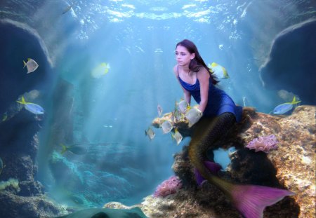 deep mermaid - girl, fantasy, sea, mermaid