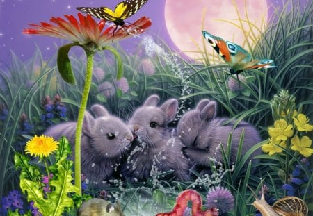 Bunny washing - butterfly, easter, bunny, spring, flower