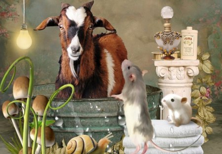 Spring bath - snail, bath, mouse, spring, goat