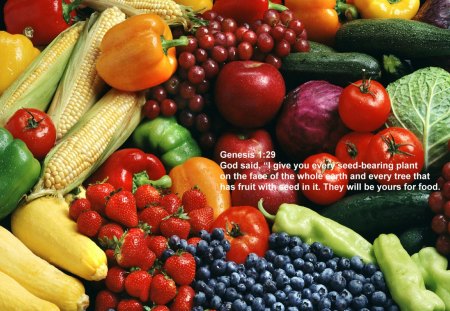 fruits and vegetables - genesis, vegetarian, vegetable, fruits, christian, vegan, wallpaper, christianity, veg, food