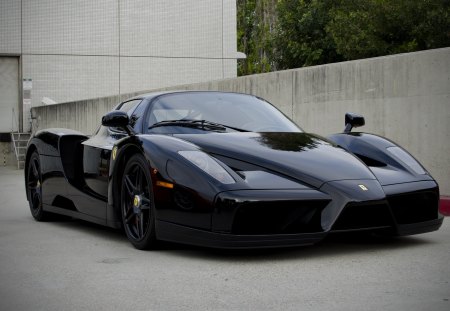 Ferrari Enzo - supercar, ferrari, enzo, exotic