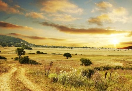 lowlands in heat - fields, village, clouds, sunrise, brushes, grass