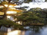 japanese house gleaming in the sun