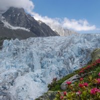 mighty glacier in spring