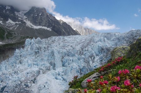 mighty glacier in spring - mountains, clouds, flowers, spring, glacier