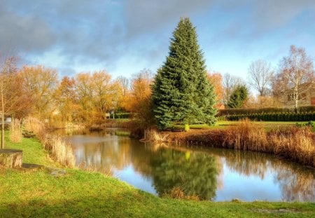 *** Beautiful autumn *** - sky, trees, nature, blue, autumn, colorful