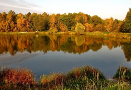 *** Autumn *** - water, beautiful, trees, nature, autumn, colorful