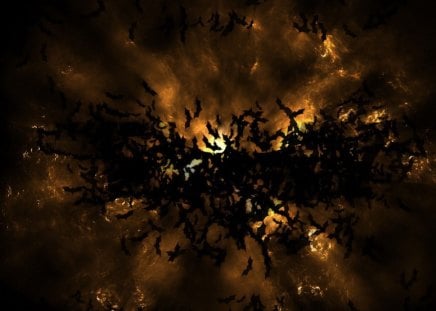 bat colony - wings, sky, bat, colony