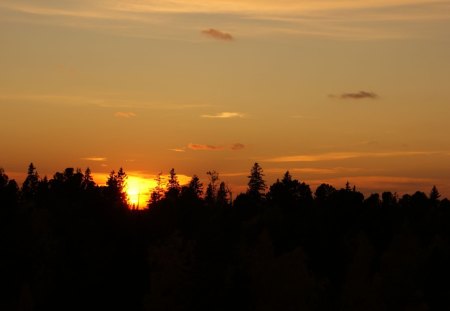 *** Sunset over the forest *** - nature, dark, forest, skay, sunset