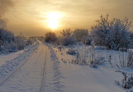 *** Sunset over the snow-covered tracks ****** - white, nature, snow, winter, sunset, tracks