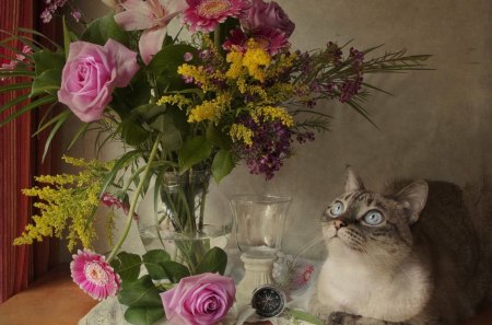 *** Beautiful bouquet and cat *** - flowers, bouquet, cat, nature, colorful