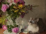 *** Beautiful bouquet and cat ***