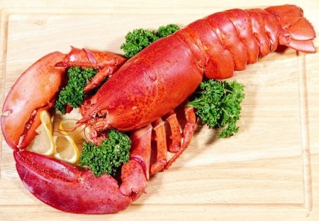 *** Lobster *** - see, lobster, pink, color, food