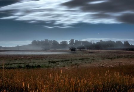 *** The field in the mist *** - sky, field, nature, mist, blue