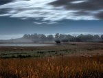 *** The field in the mist ***