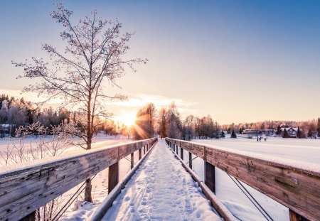 Winter Sunrise - snow, sunrise, view, houses, sky, clouds, house, trees, winter, beautiful, snowy, winter sun, beauty, lovely, tree, village, nature, winter time, peaceful, bridge