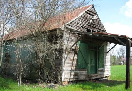 Remnant of the old South - icons of the old south, history