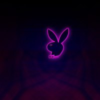 Playboy Bunny