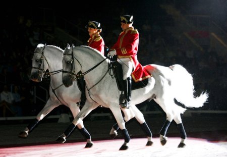 Dressage - spanish, dressage, horses, performance, lipizzan, animals, andalusian