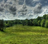 green landscape