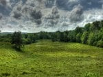 green landscape