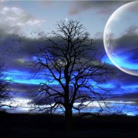 Magical Skies