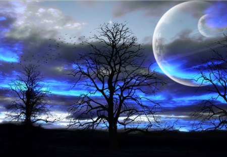 Magical Skies - skies, moon, blue, magical, tree