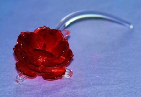 Glass red rose - glass, roses