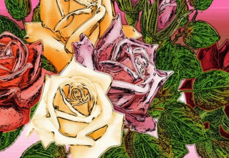 Roses - flowers, roses, abstract