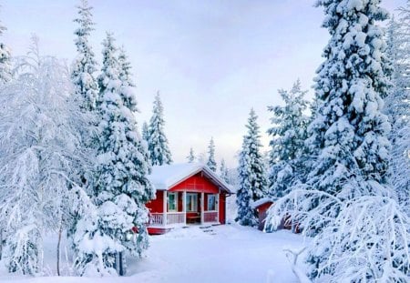 Winter cottage - pretty, cabin, snow, forest, calmness, frost, hidden, nice, cottage, sky, house, trees, winter, beautiful, snowy, lovely, rest, ice, frozen, nature, cold