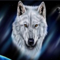 Snow Wolf