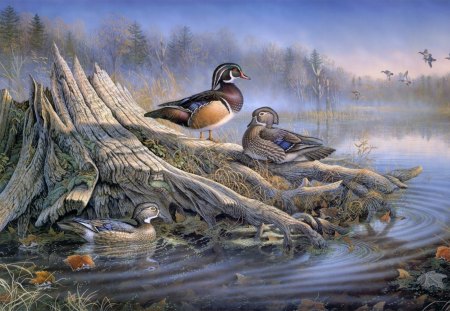 Ducks - duck, painting, art, wallpaper, other