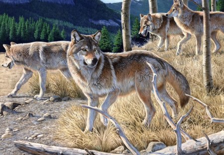 Wolf - wolf, painting, wallpaper, hungry, other