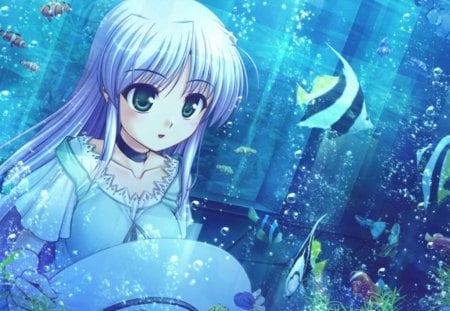 Aquarium - anime, anime girl, female, water, hot, girl, aquarium, green eyes, long hair, animal, blue hair, cute, fish, sexy