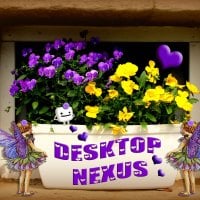 â™¥   Desktop Nexus Pansies  â™¥