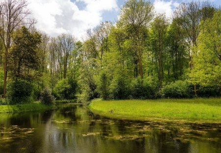 beautiful summer landscape - river, clouds, forest, summer