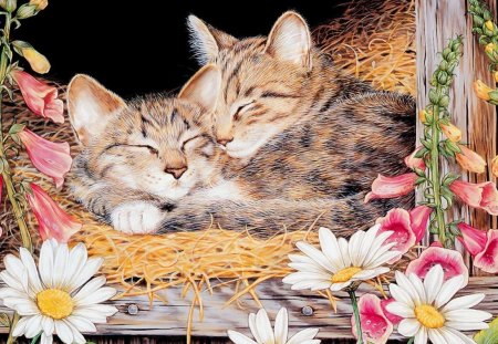 Sleeping kittens - sleep, kitten, flower, art, cat